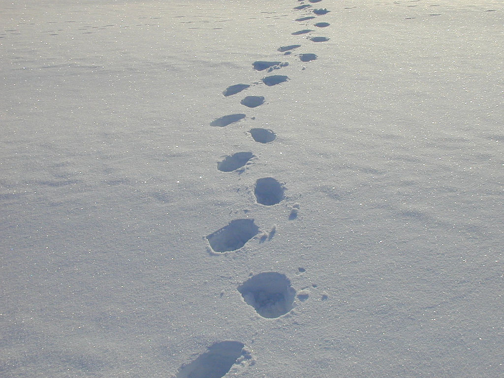 snowy footsteps