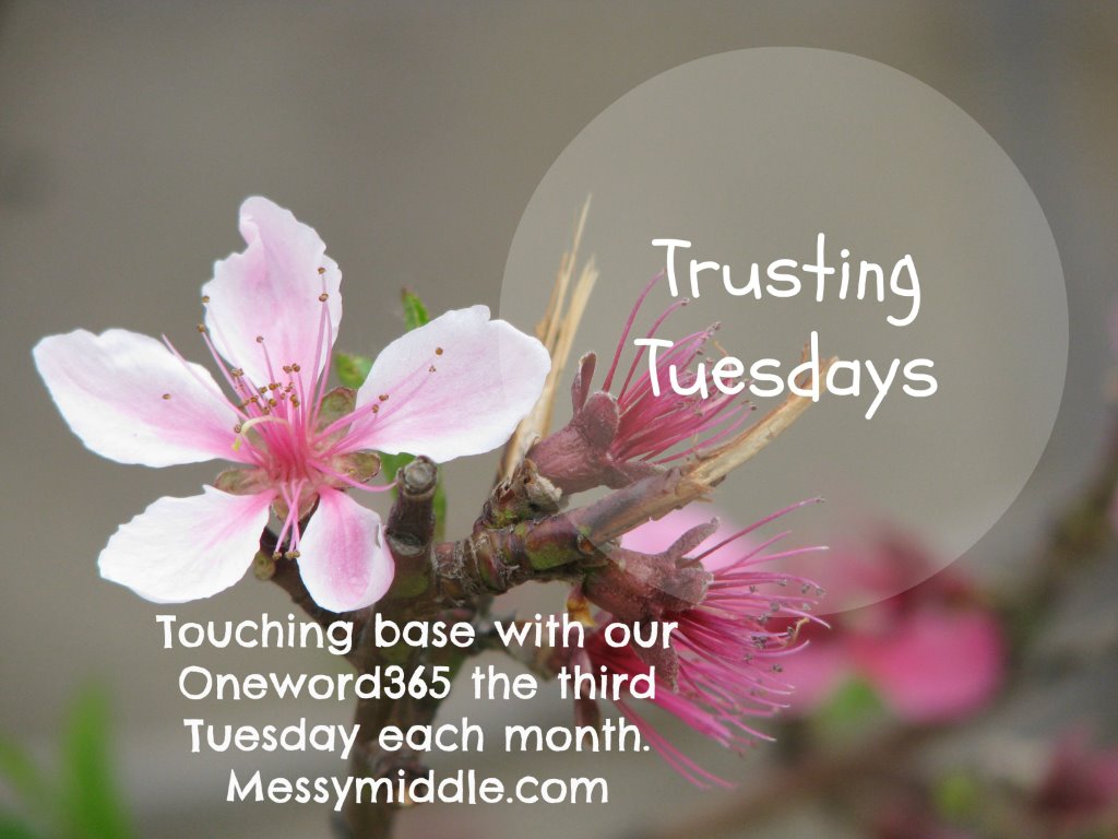 Trusting Tuesdays OneWord365 button